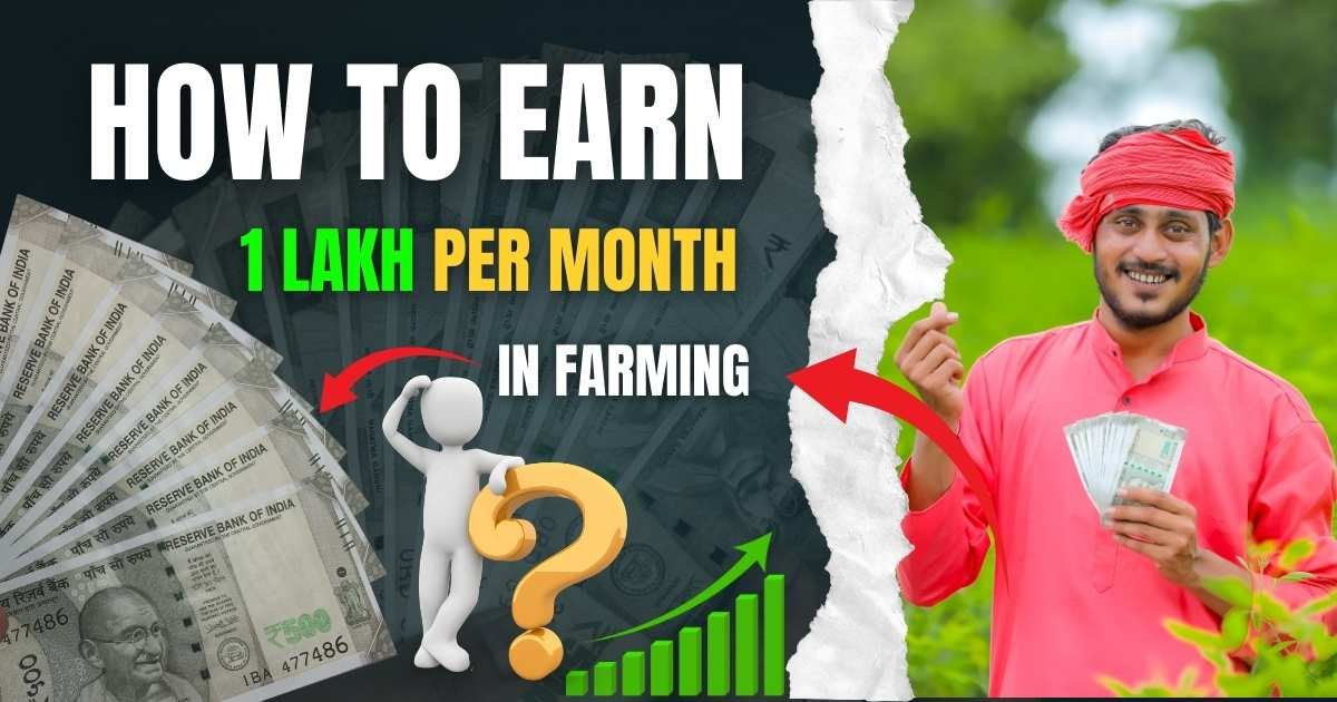 An image showing modern farming techniques for earning a high income from agriculture in India.