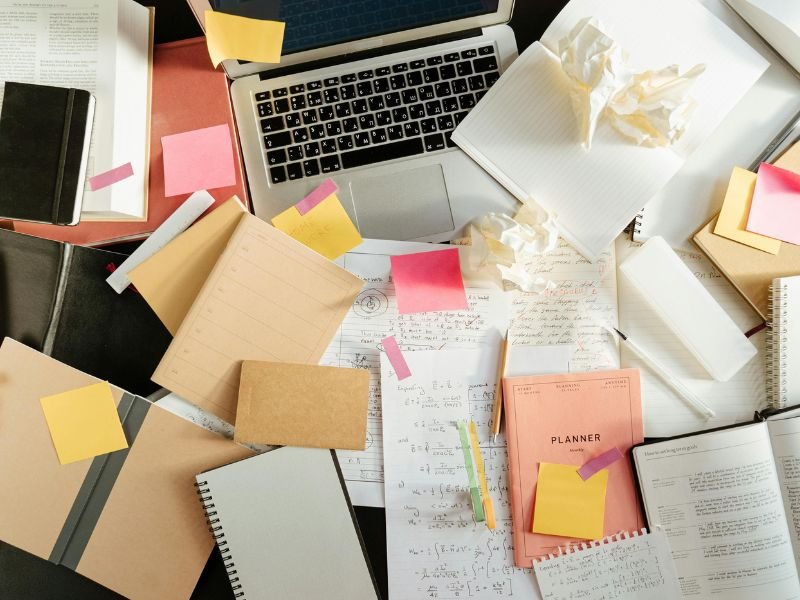 Digital study notes and PDFs available for sale