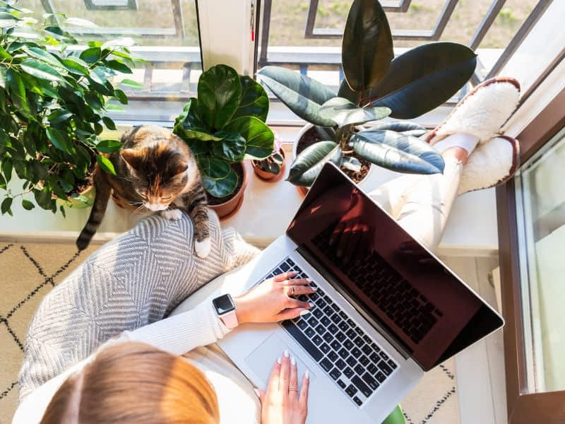 Top freelancing opportunities to earn money online and work from home